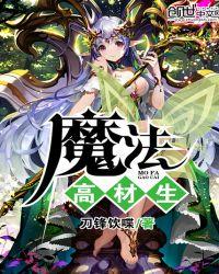 魔法高级教程