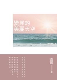 变异天空飞机